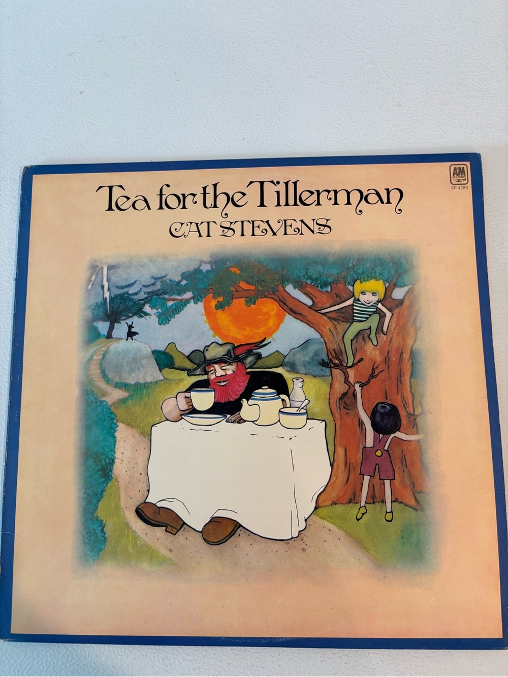 Cat Stevens   Tea for the Tillerman Vinyl record
